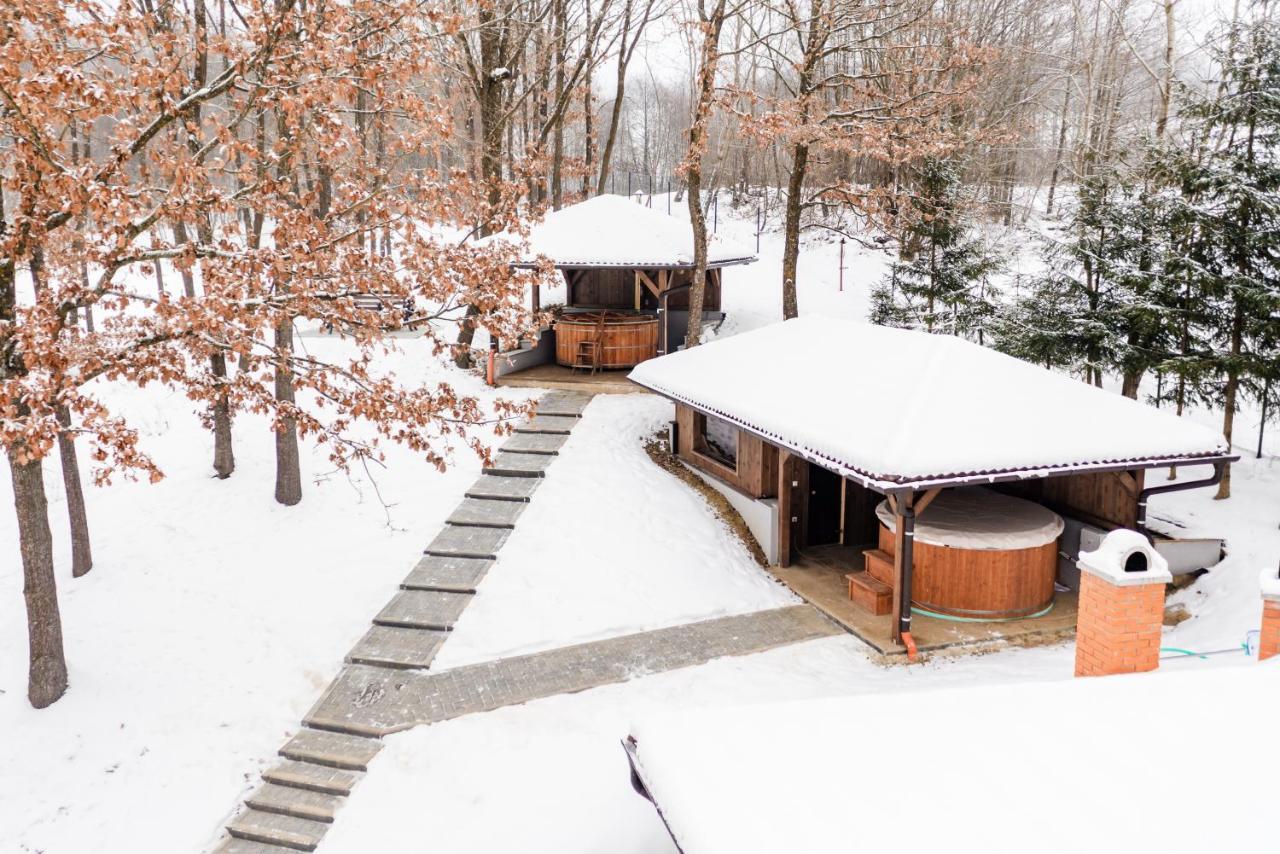 Transylvanian Relax House Lupeni  Экстерьер фото