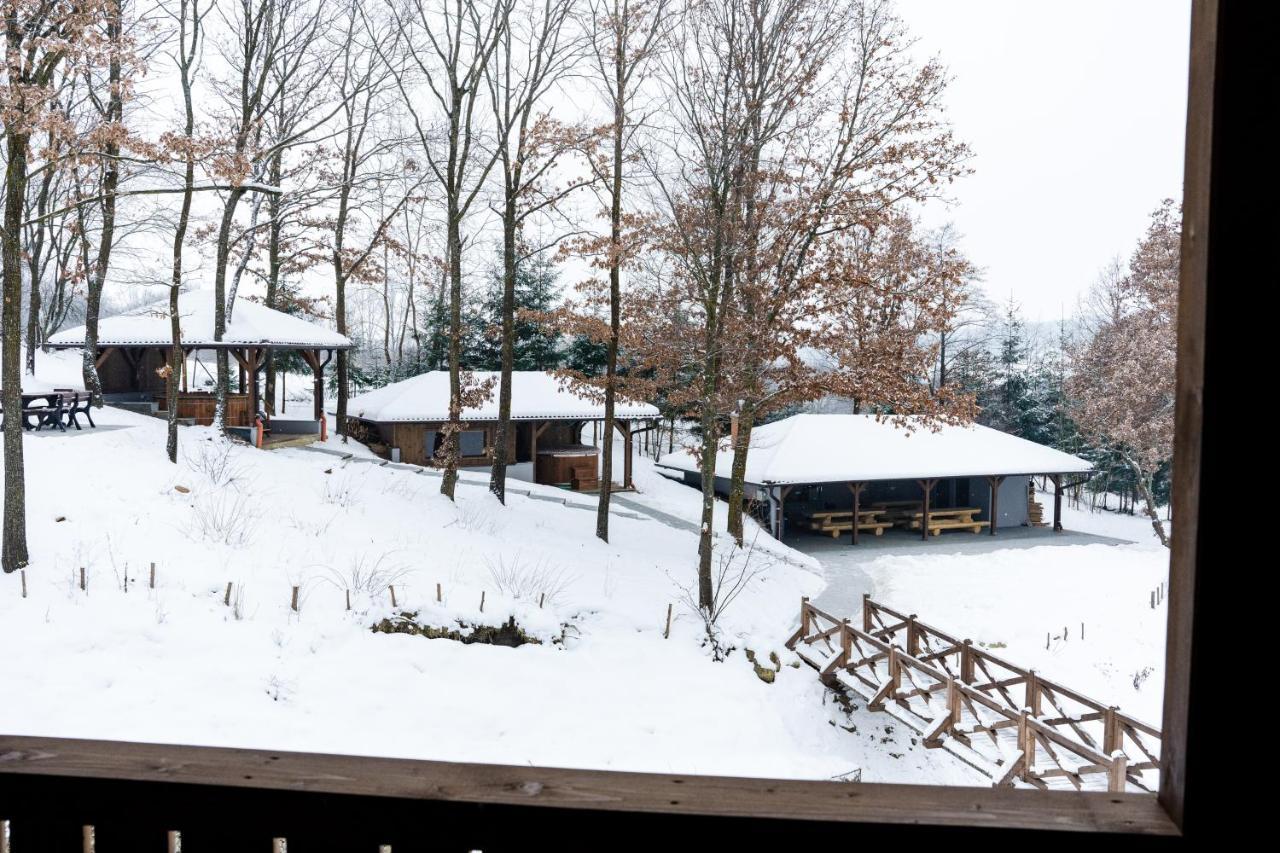 Transylvanian Relax House Lupeni  Экстерьер фото
